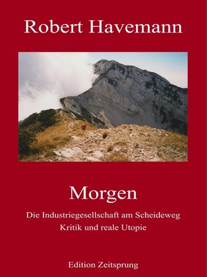 cover image of Morgen